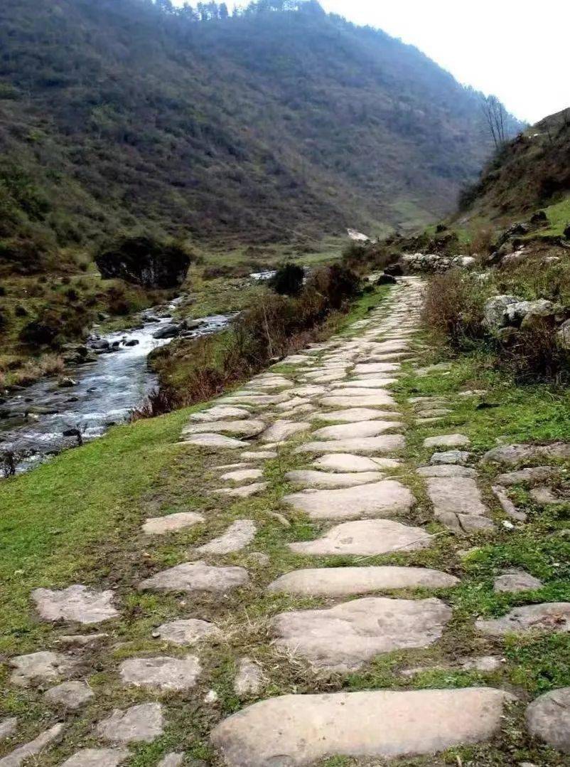 越西县小相岭村:依山就势 打造高颜值的美丽乡村_发展_公路_村子