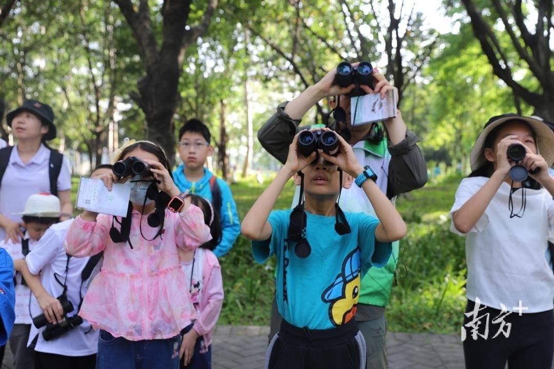 捕捉生态灵动之美，亲子家庭在松山湖开启“寻鸟之旅”