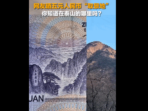 中国最难爬的山,挤满了嘴硬的大学生_泰山_游客_结果