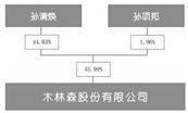 木林森股份有限公司2022年度陈述摘要