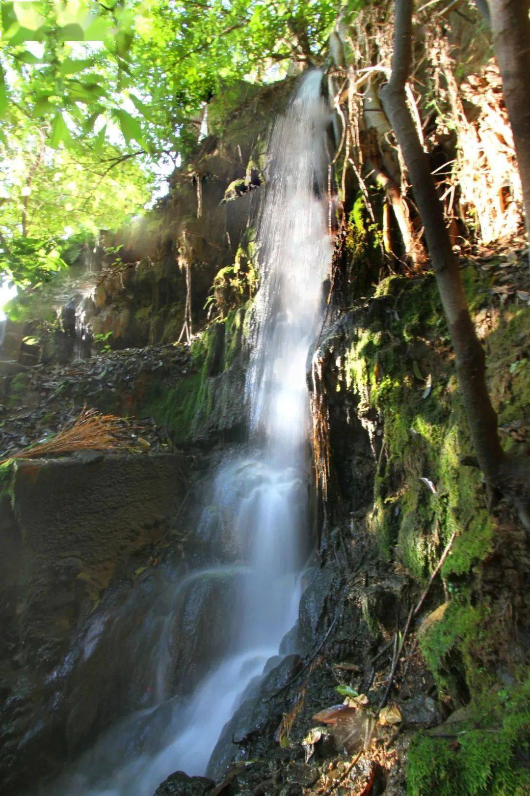 保山市施甸县石瓢温泉图片