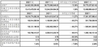 木林森股份有限公司2022年度陈述摘要