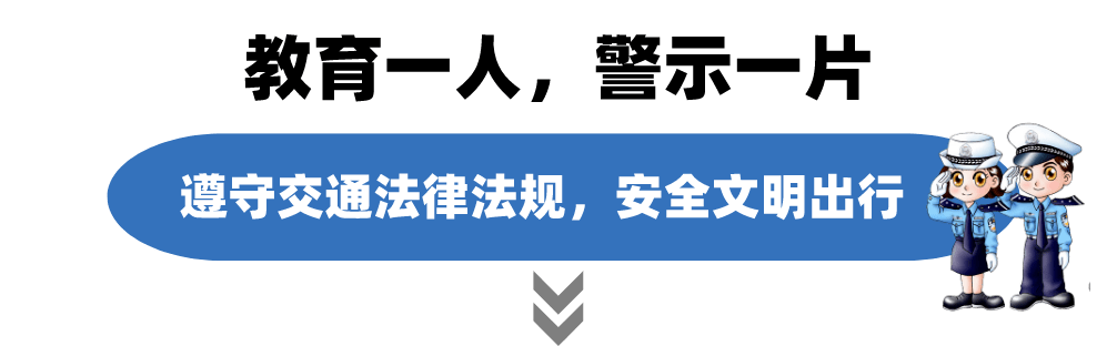 天眼查被执行人详情（天眼查执行信息不见了） 第8张