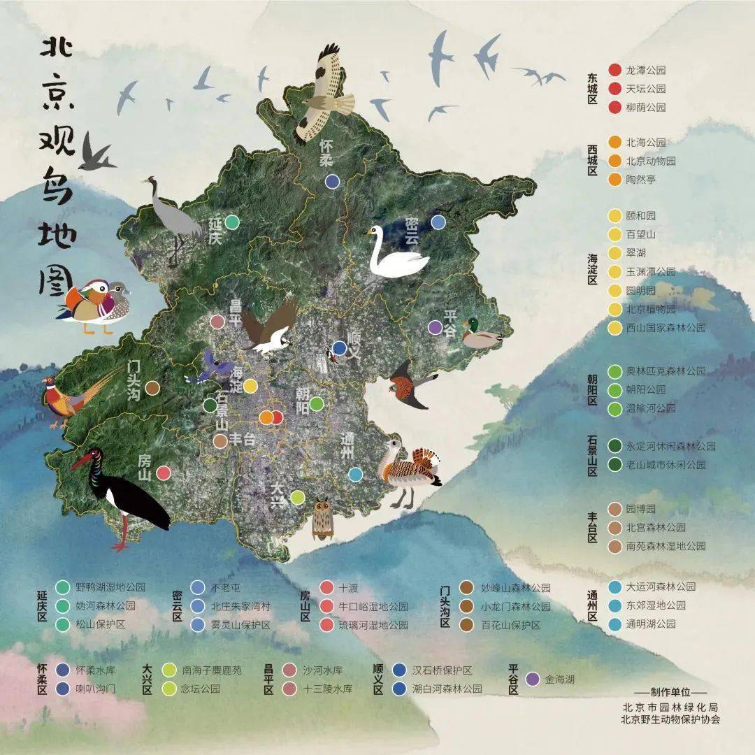 《北京觀鳥地圖》,推出了北海公園,翠湖溼地公園,房山十渡,延慶野鴨湖