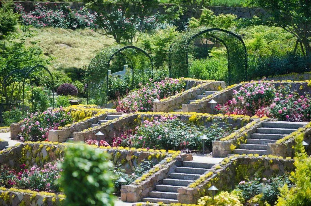 【乐行族|休闲】5月2日,德清奇幻谷赏月季,原汁原味新市古镇感受江南