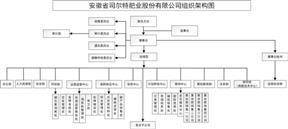 安徽省司尔特肥业股份有限公司2022年度陈述摘要