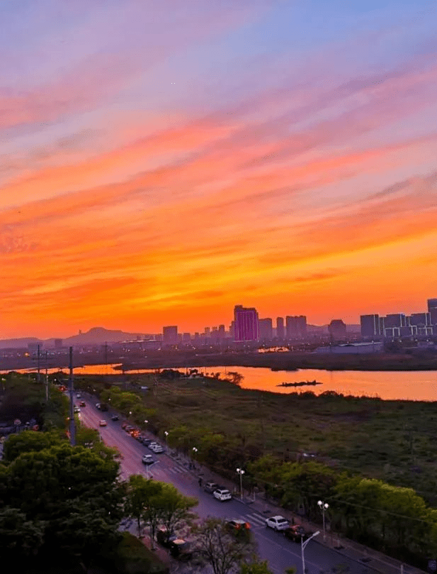 踯躅花（踯躅花有毒吗） 第1张