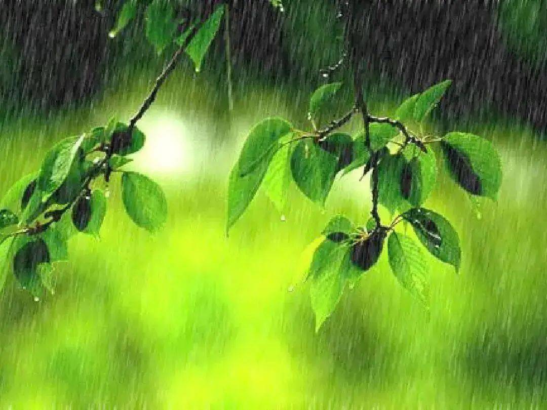 【当代诗人咏春天·第五季】黄红梅 卷_西江_李白桃红_诗词