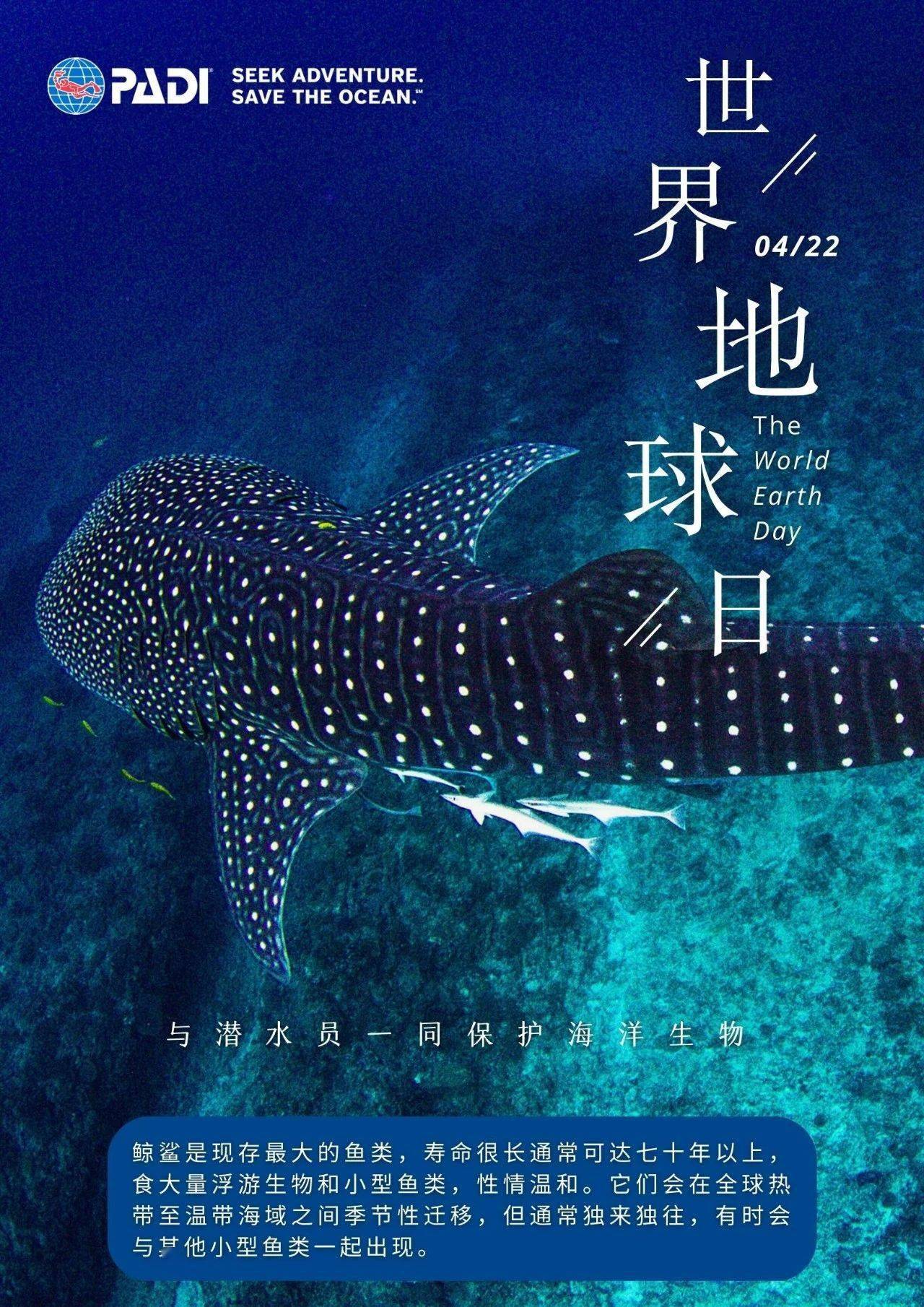 世界地球日 | 了解海洋生物,守护蓝色星球!_潜水员_分享者_主题