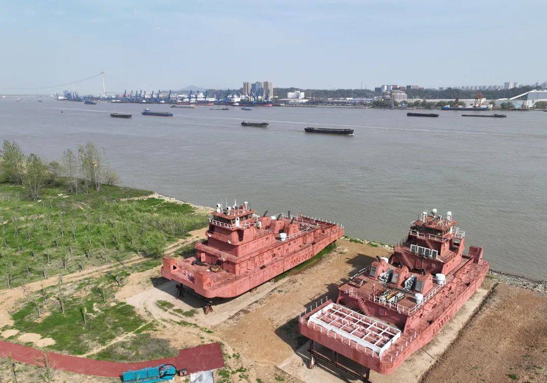 南京再添一座公園_八卦洲_溼地_生態