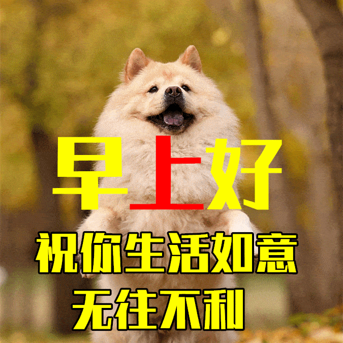 呵,早安,朋友.无论你是"聪明绝顶"还是"难得糊涂