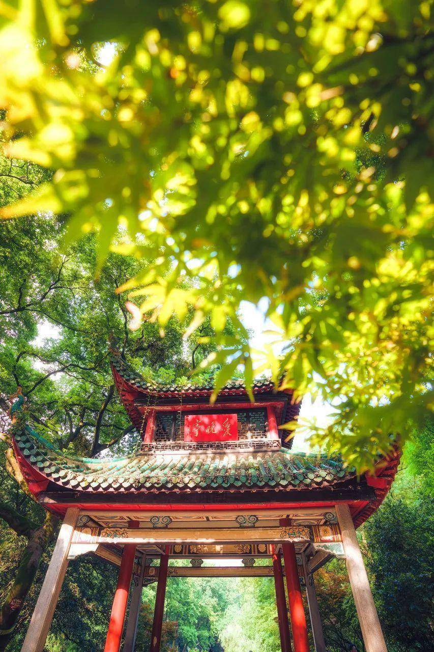 革命中贡献了自己的力量长沙不仅凝练出一枝独秀的湖湘文化作为国家