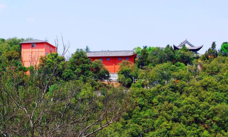 陆良五84山国家森林公园_五峰_曲靖市_摄影