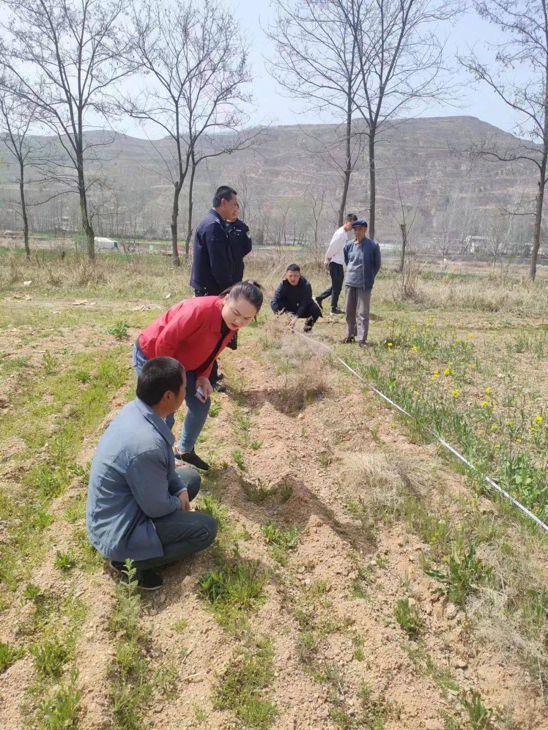 礼县崖城人物图片