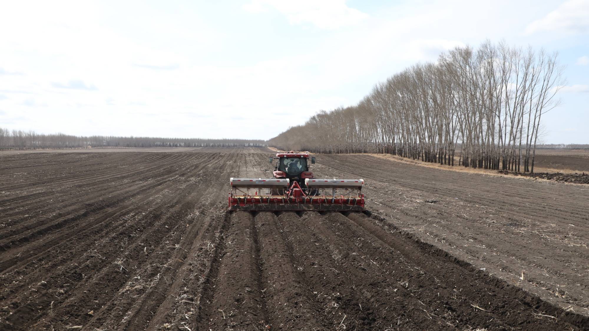 黑土地涌春潮|起垄夹肥建基地 春耕备耕正当时_发展_依安县_甜菜