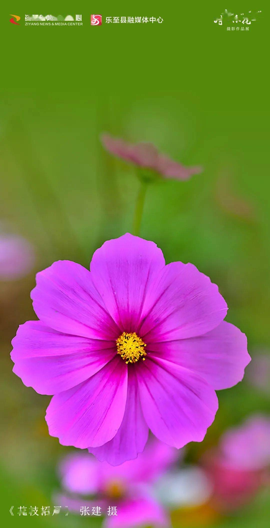 资阳_壁纸_色彩