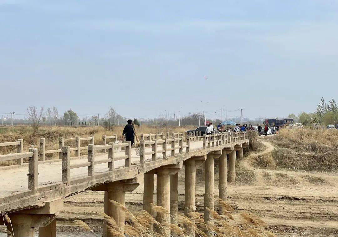 武邑县武邑镇一桥梁护栏有缺失 村民通行存隐患_武邑人_相关_农田