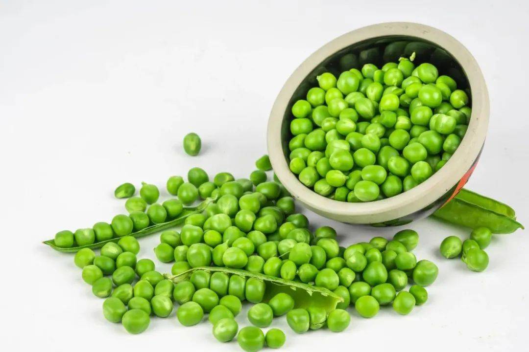 绞股蓝的功效作用和副作用_雪豆的功效与作用_白鲜皮的功效与作用 白