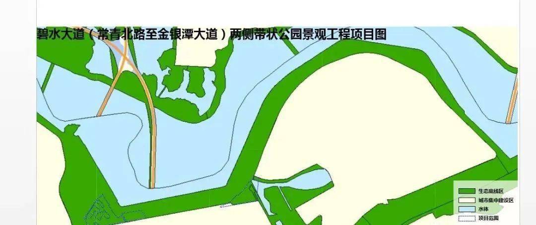 东西湖区人民政府组织开展碧水大道(常青北路至金银潭大道)两侧带状