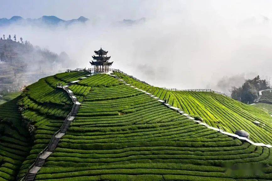 【伍家台贡茶文化旅游区】景区地址:宣恩县万寨乡伍家台村珍馐美味
