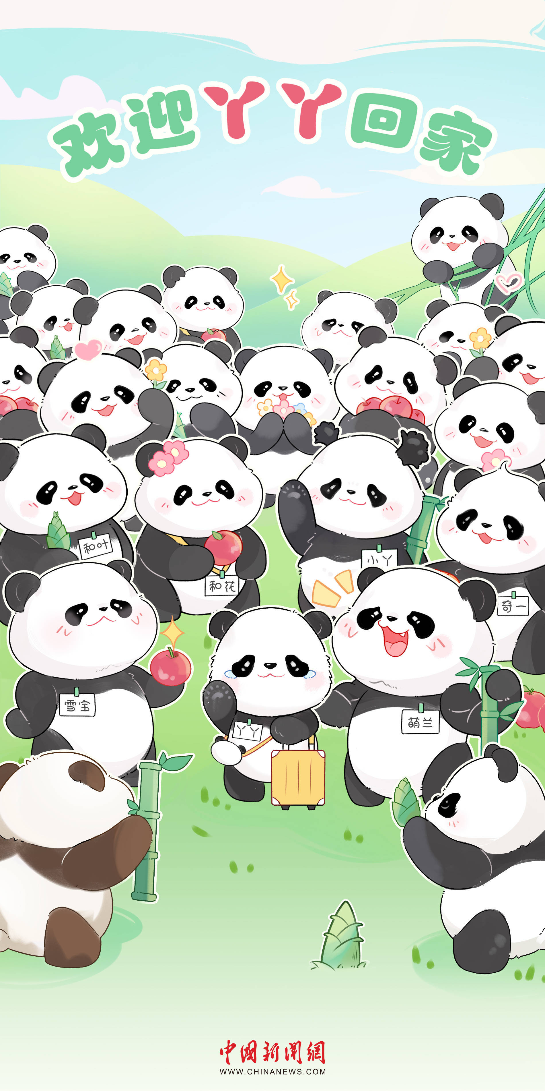 旅美大熊猫"丫丫"启程回国,欢迎丫丫回家!_美国_动物园_田纳西