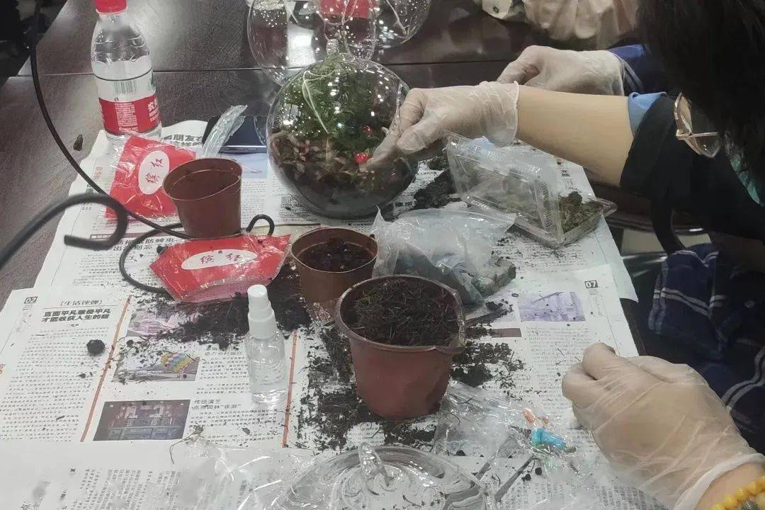 基层动态｜北新桥街道总工会开展绿植盆栽——创意微景观种植活动-创意绿植盆栽 手工图片