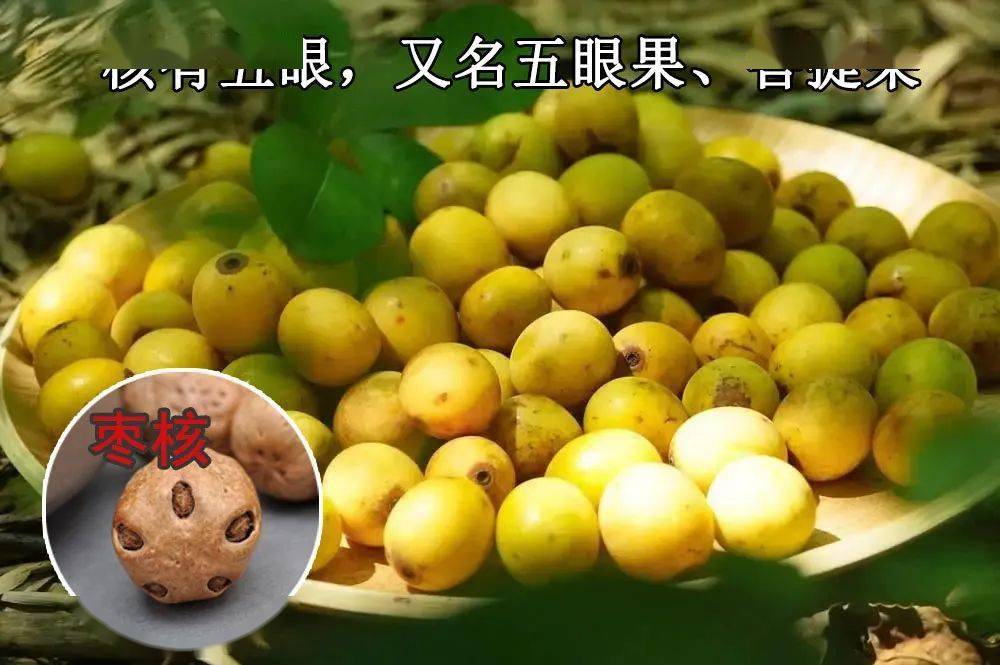 这种神秘的果子就是野酸枣,果核上有五个眼,形状像极了佛珠,因此信徒