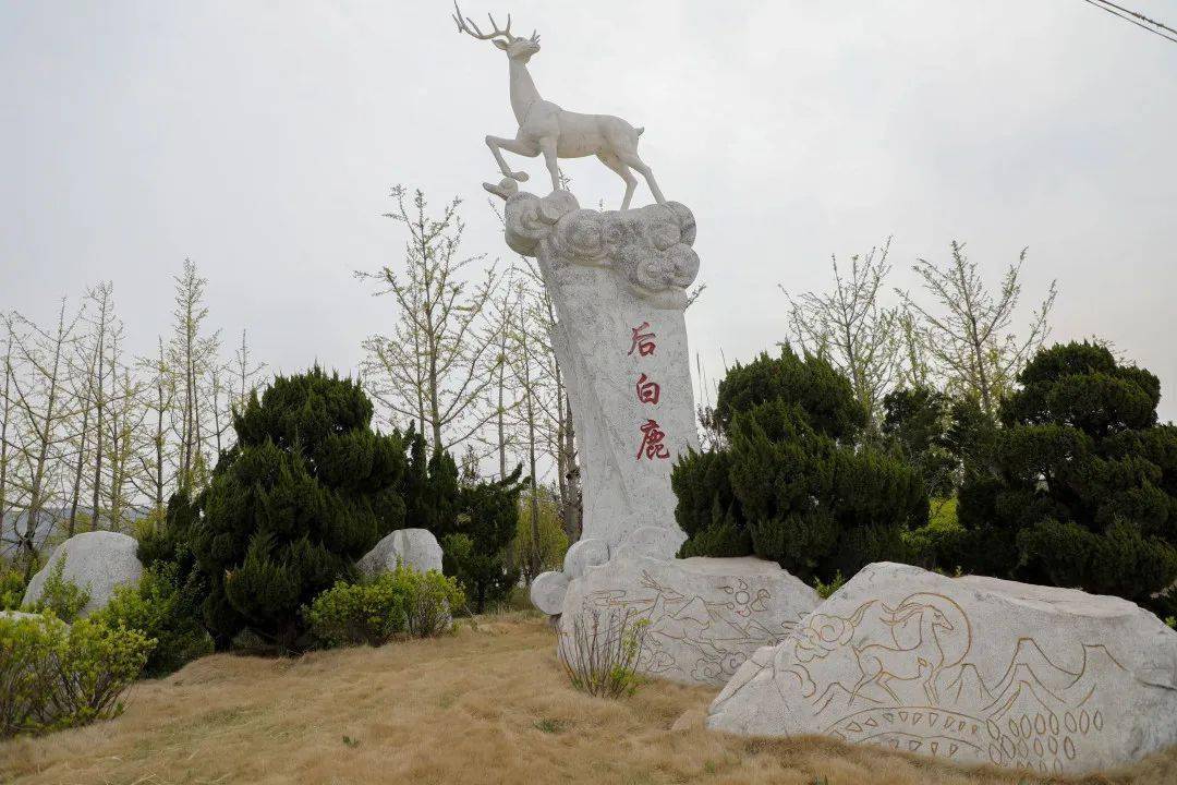 "樱"你而来,寻觅乡愁——"五一"假期和汪疃来一场美丽邂逅!