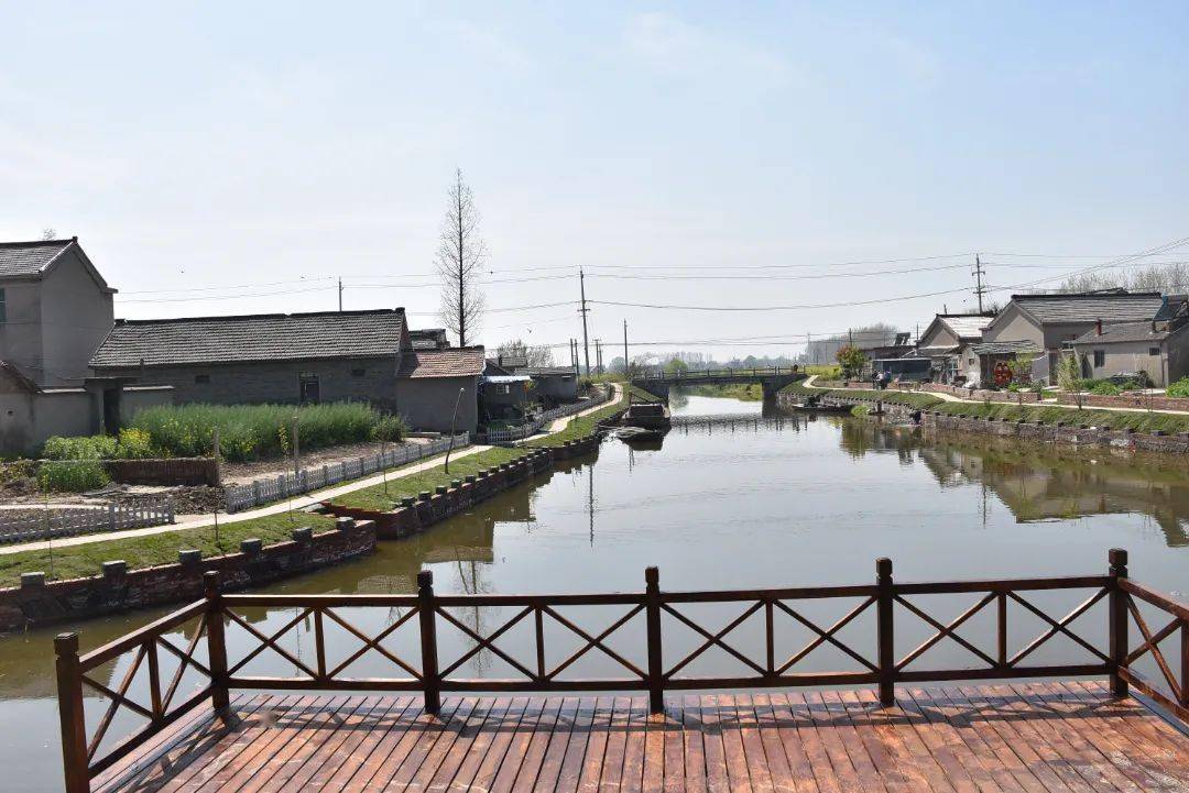 【农业农村】和美乡村入画来,三垛镇以优美的人居环境擦亮乡村振兴"