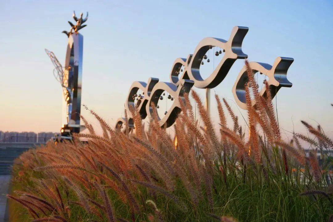 生态走廊项目九江立足北江丰富的河道岸线2021年北江生态长廊02地址