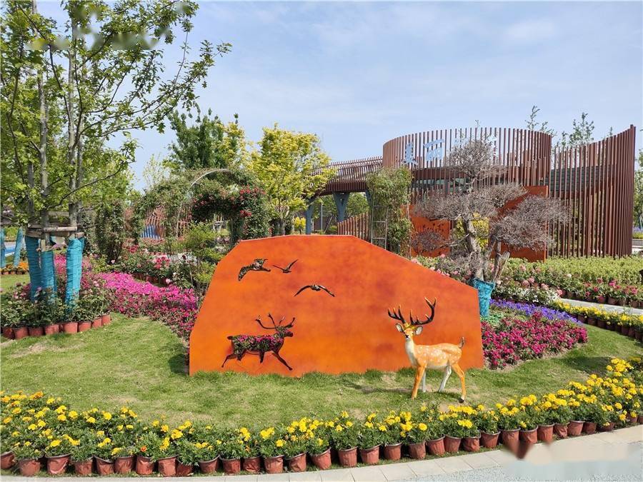 第四届阜阳市花博会在界首开幕_产业_花卉_李阔