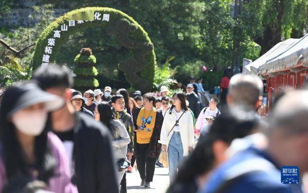 乐享花艺（乐享花是什么平台的） 第1张