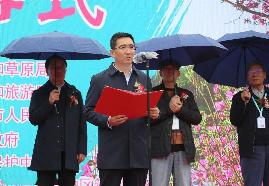 吉林龙湾野生杜鹃花卉旅游节启幕