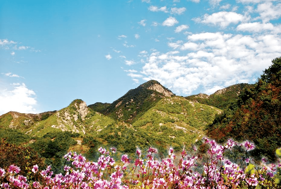 老帽山坐落於瓦房店市萬家嶺鎮帽山村,海拔848米,為遼南第二高峰.