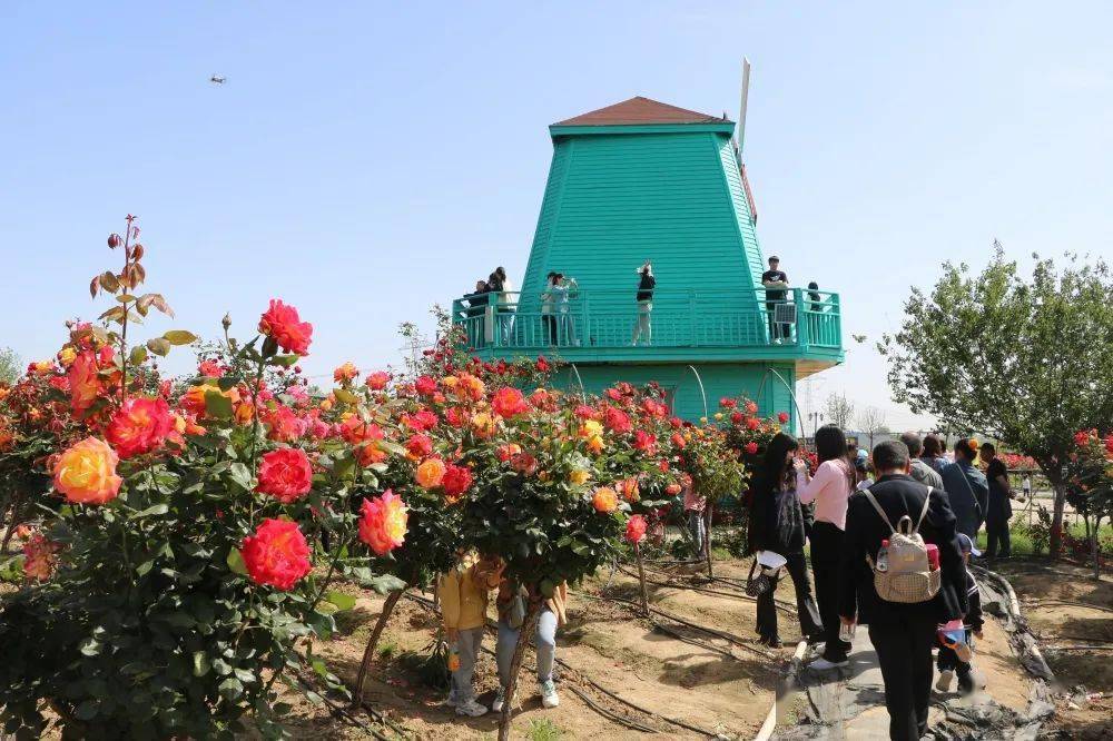 汤池天鸣花海——赏花解锁n 种假期玩法"五一"的庐江很"有趣""趣"看看