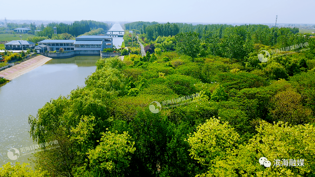 濱海好看好玩的n個景點,一起去打卡!_地址_江蘇省_鹽城