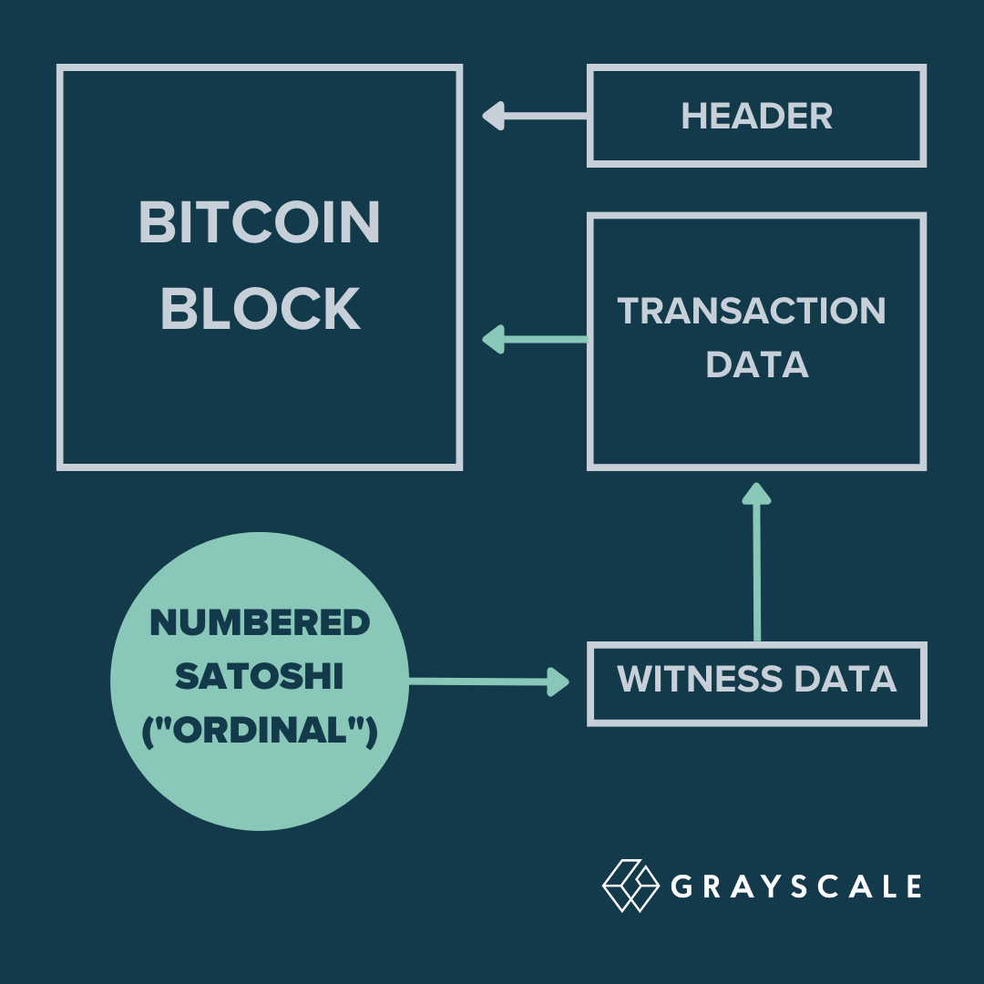 灰度最新发文:ordinals有可能对比特币网络产生积极影响_区块_交易_数