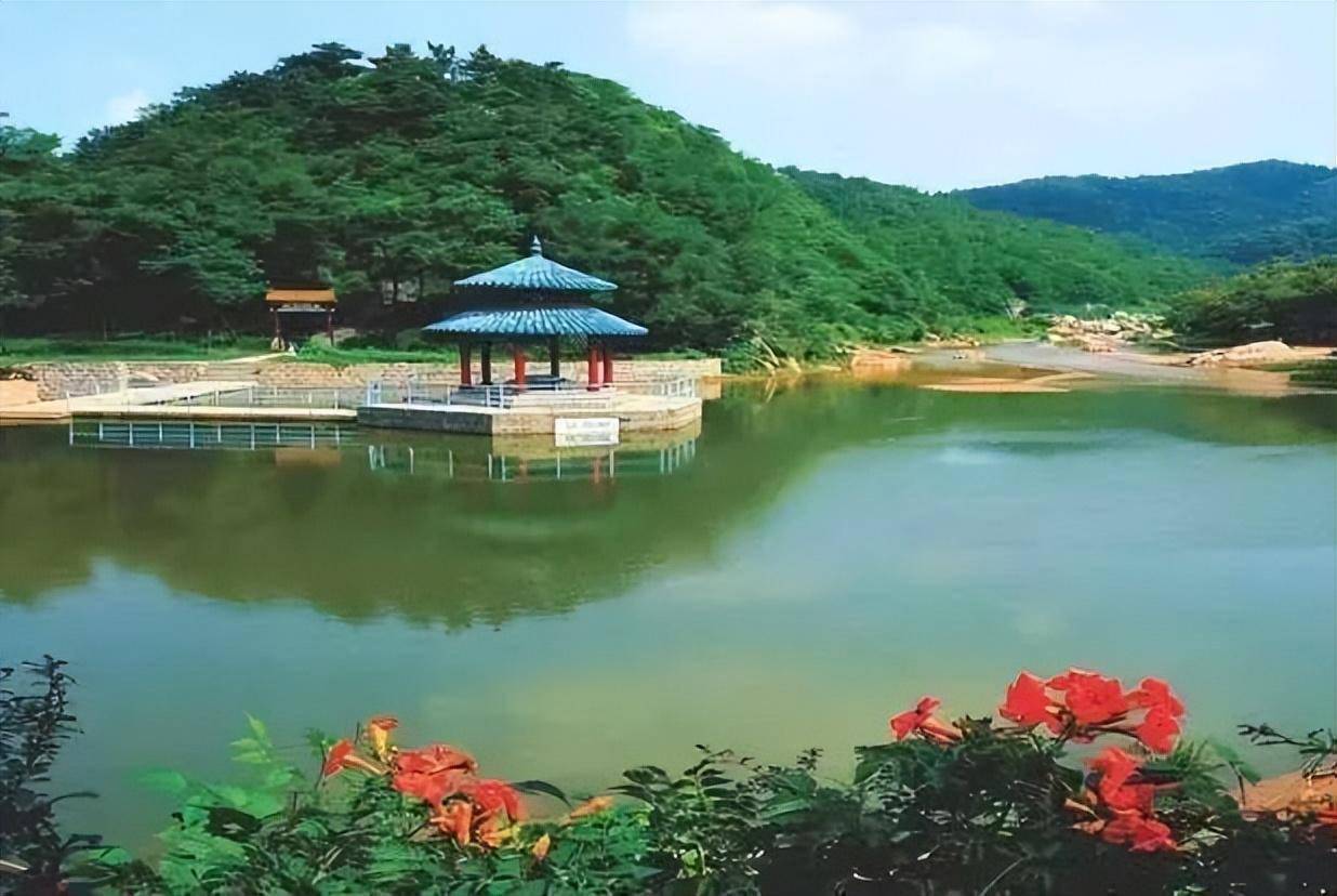 "不一young的潍坊"|临朐县九山镇邀您来打卡!_薰衣草_山东_小镇