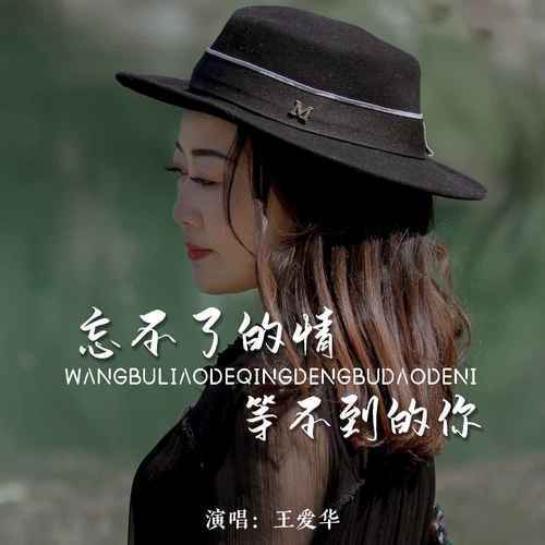 【新歌推荐】王爱华《忘不了的情等不到的你 dj版_音乐_浏览器