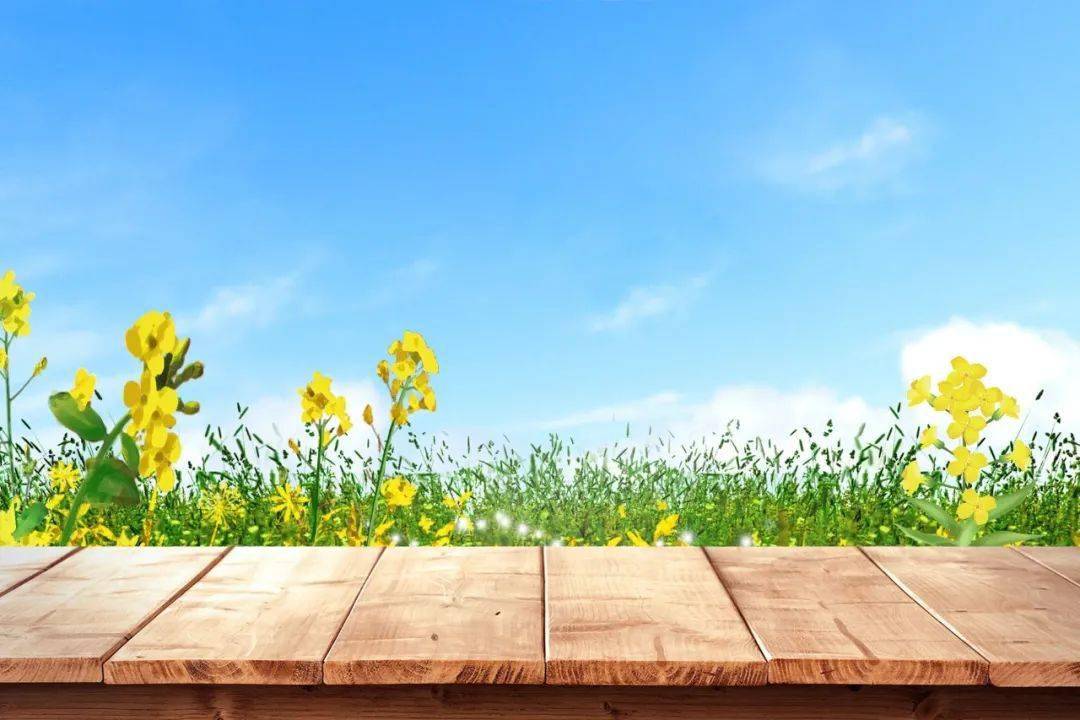 华南师大教师教育学部部长王红:重新体认劳动教育的