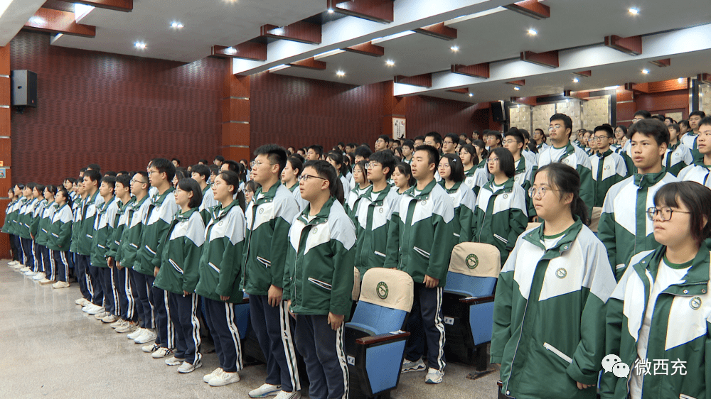 西充举行纪念"五四运动"104周年暨集中入团示范活动_仪式_团徽_共青