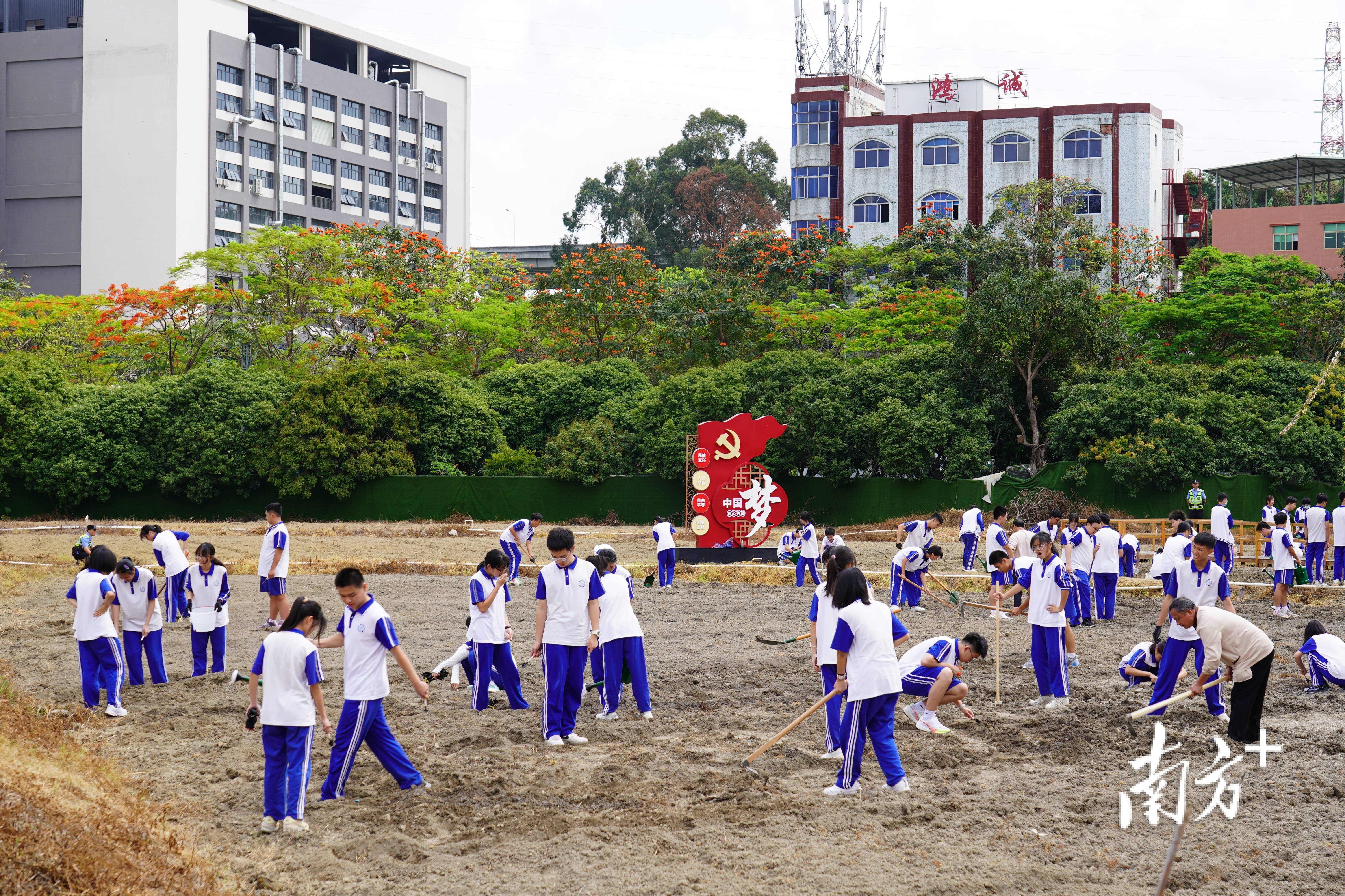 东莞市第八高级中学劳动教育实践基地揭牌