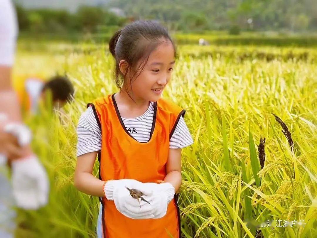 【团建定制】金泉营地天幕下午茶,自助烧烤,水果采摘,皮划艇,草坪拓展