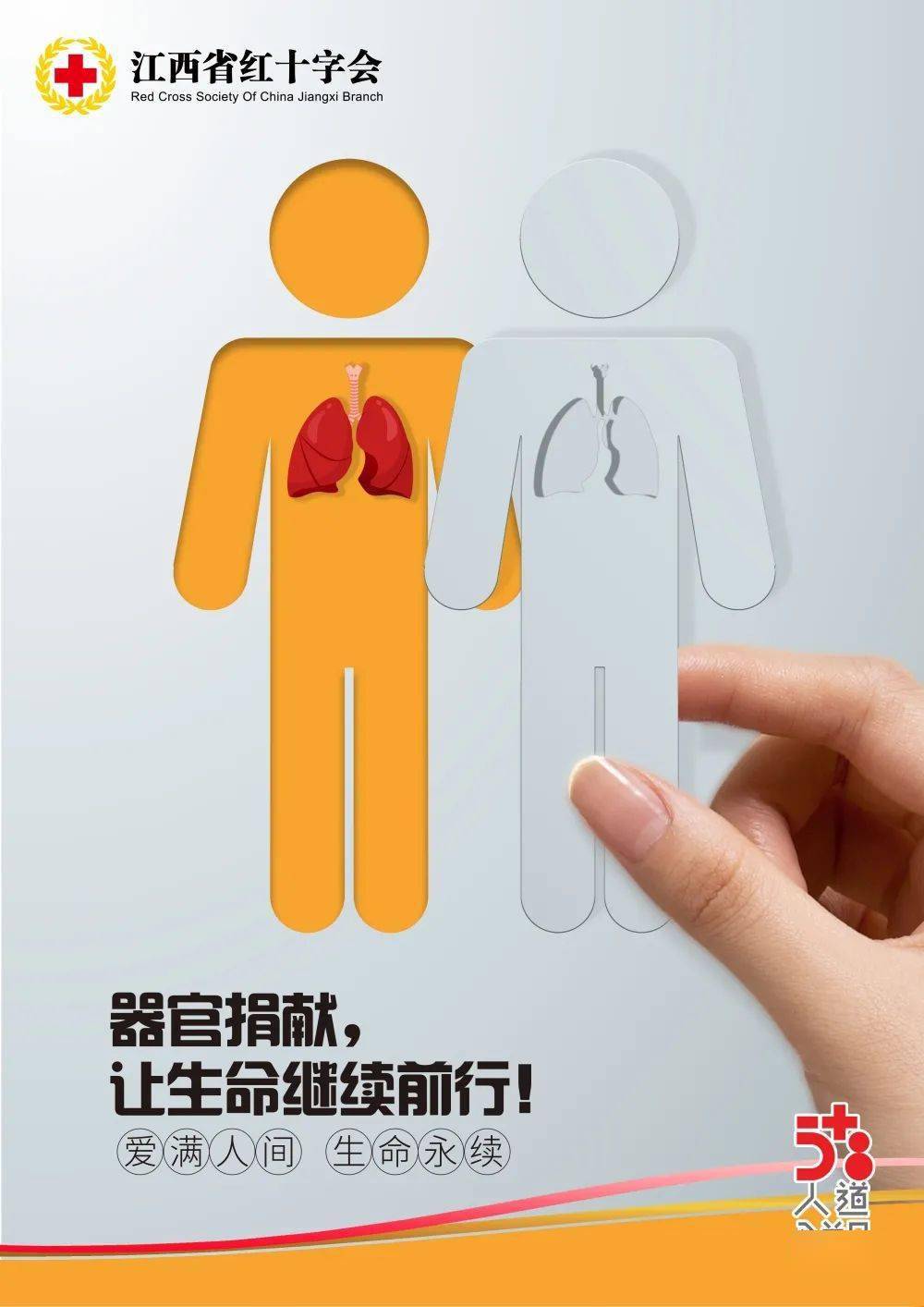 5·8人道公益日系列海报展示