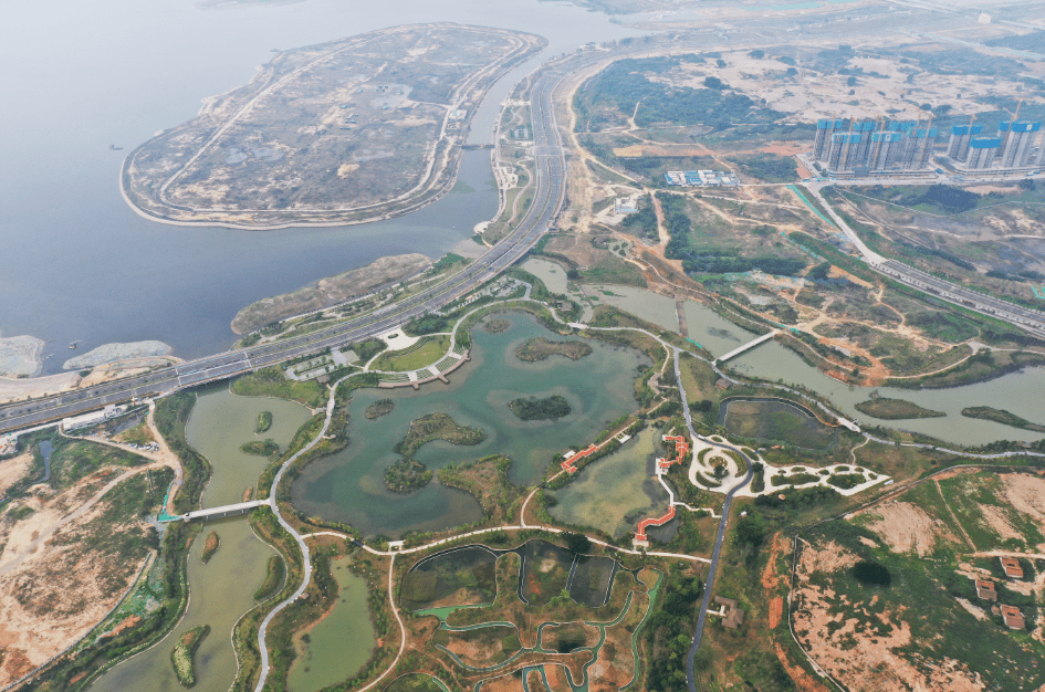 厦门再添一网红打卡点!即将开放!附照片……_马銮湾_公园_湿地