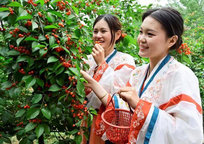 牡丹花水（牡丹花水彩画图片简单） 第5张