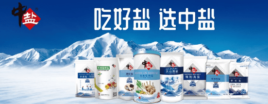 中盐集团：加快推进数智化转型，引领盐行业高质量发展_数据_业务_财务