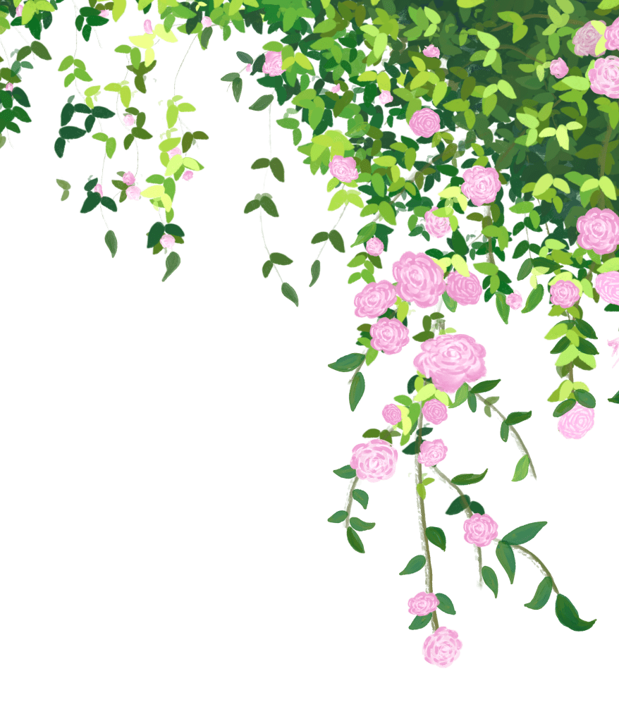 立夏 | 蔷薇花最美这一周,来打卡吧!