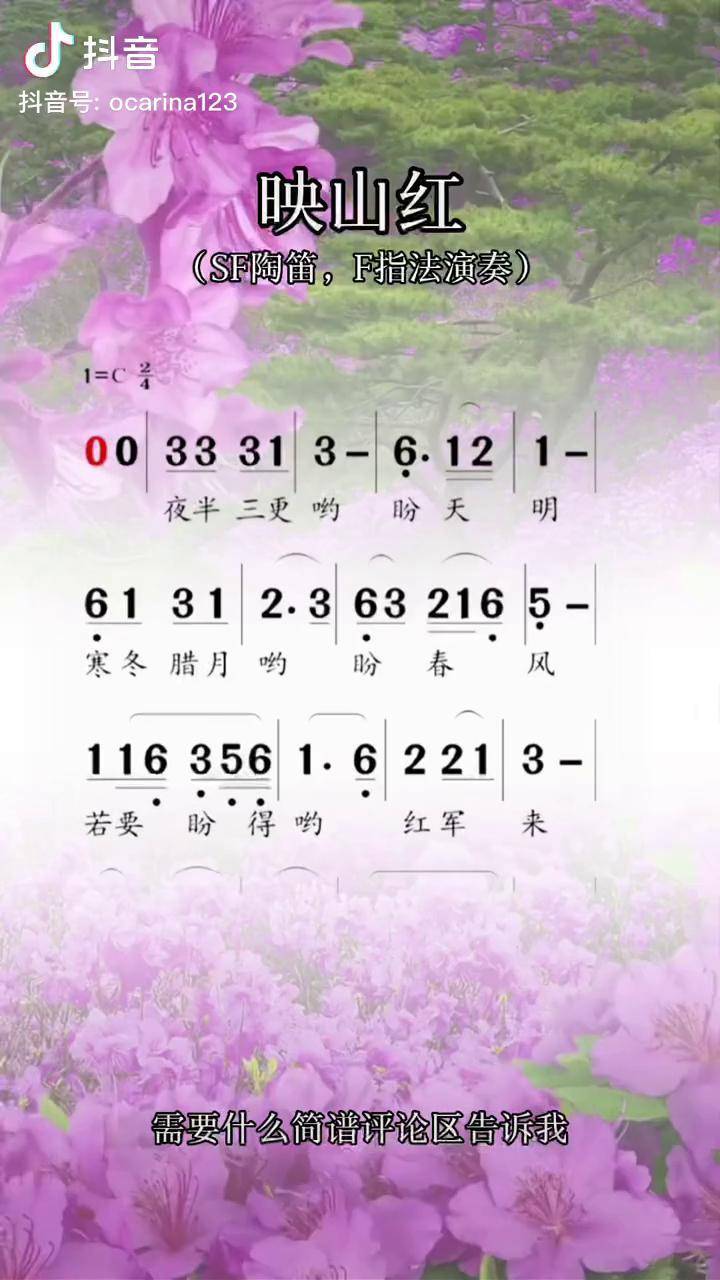 映山红,陶笛动态简谱动态谱
