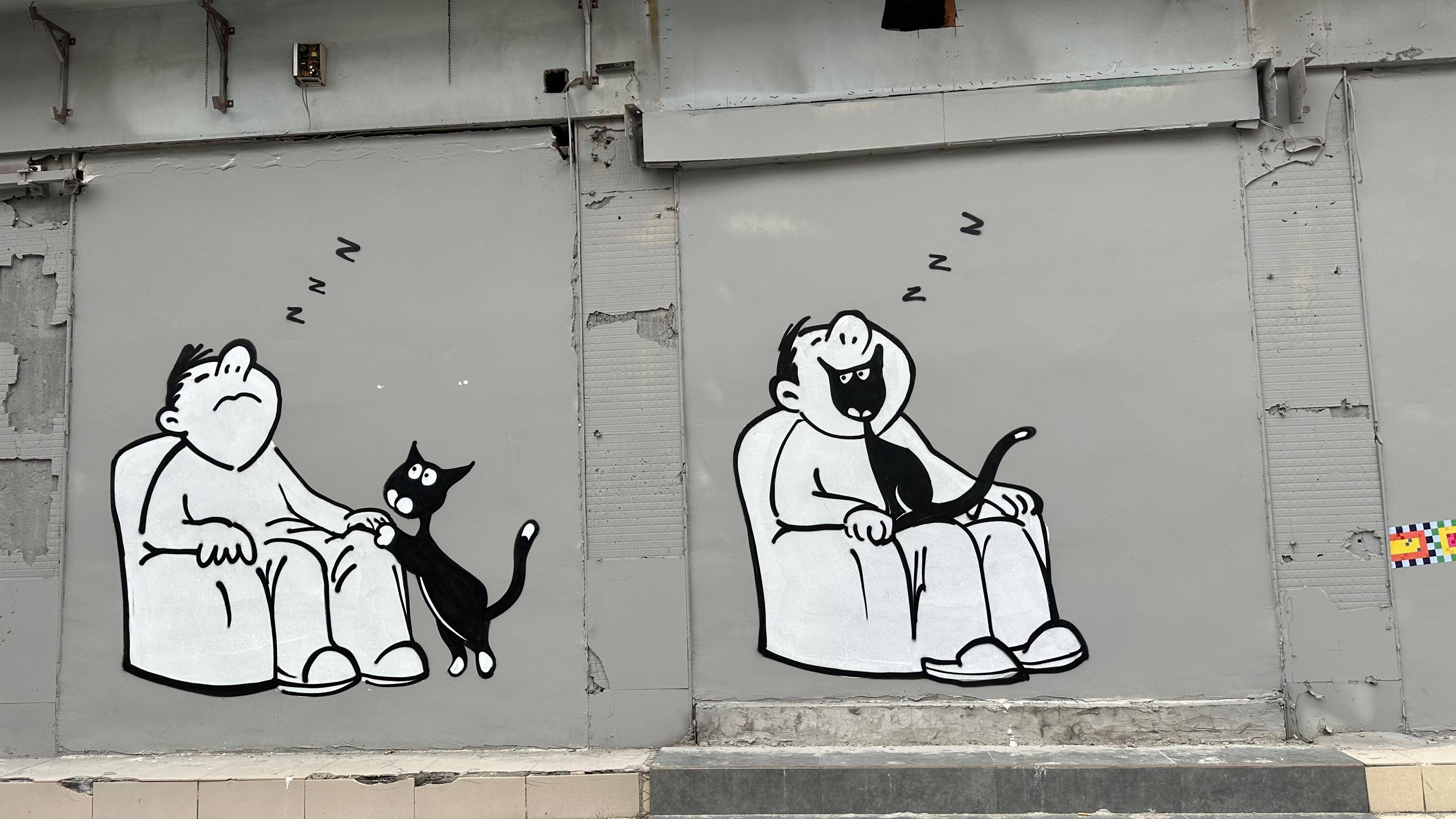 “外滩猫街”背后的艺术家Tango：猫是能疗愈人心的宠物